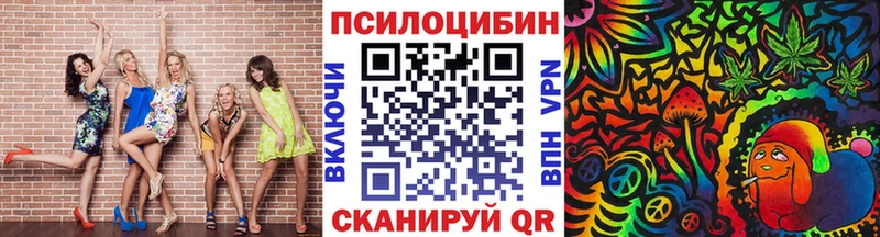 omg онион  Кубинка  Псилоцибиновые грибы Cubensis  купить наркотики сайты 